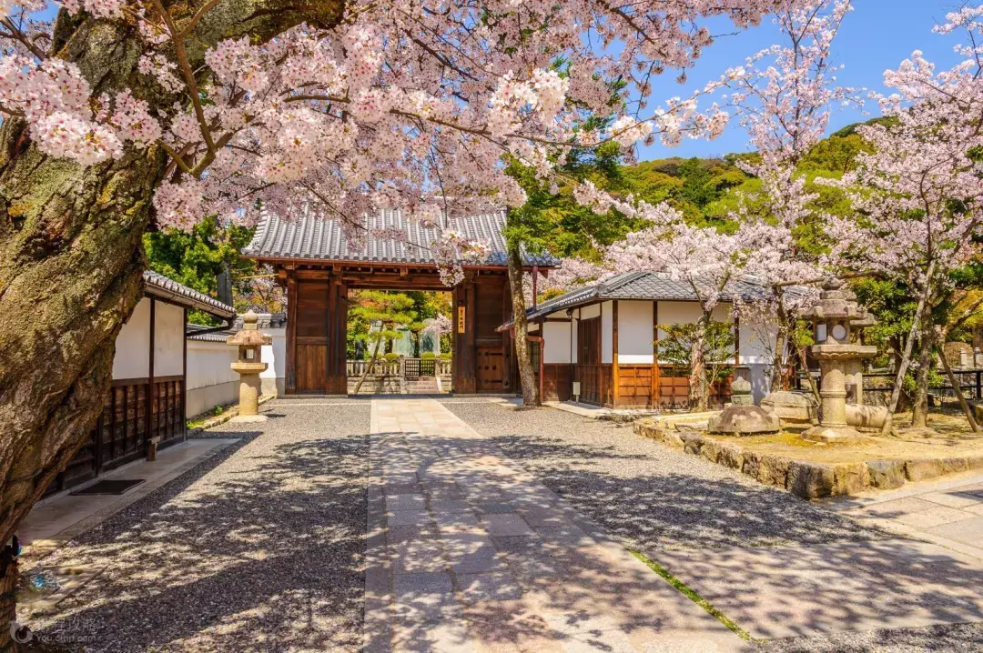 队史料馆/广岛县吴市第18名moere沼公园/北海道札幌市第19名野毛山