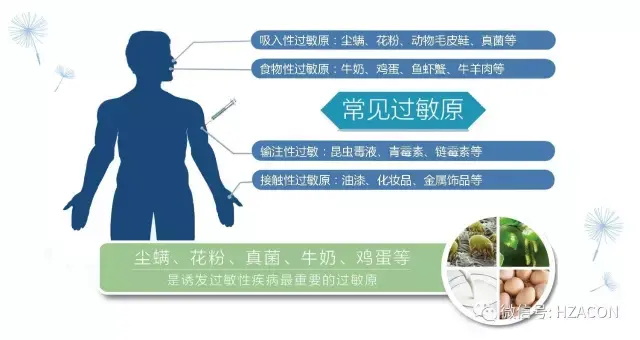 过敏是先天的吗?有哪些常见的过敏原 - 知乎