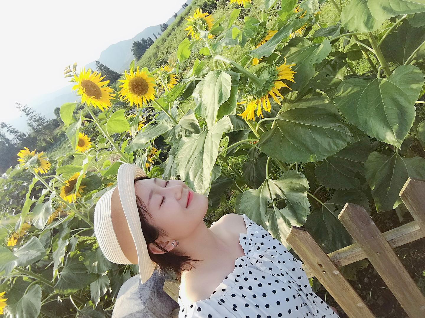赏花农家炊 坐落湖南江永山脚下的农庄 与世隔绝的宁静 知乎 赏花农家炊 坐落湖南江永山脚下的农庄 与世隔绝的宁静 知乎