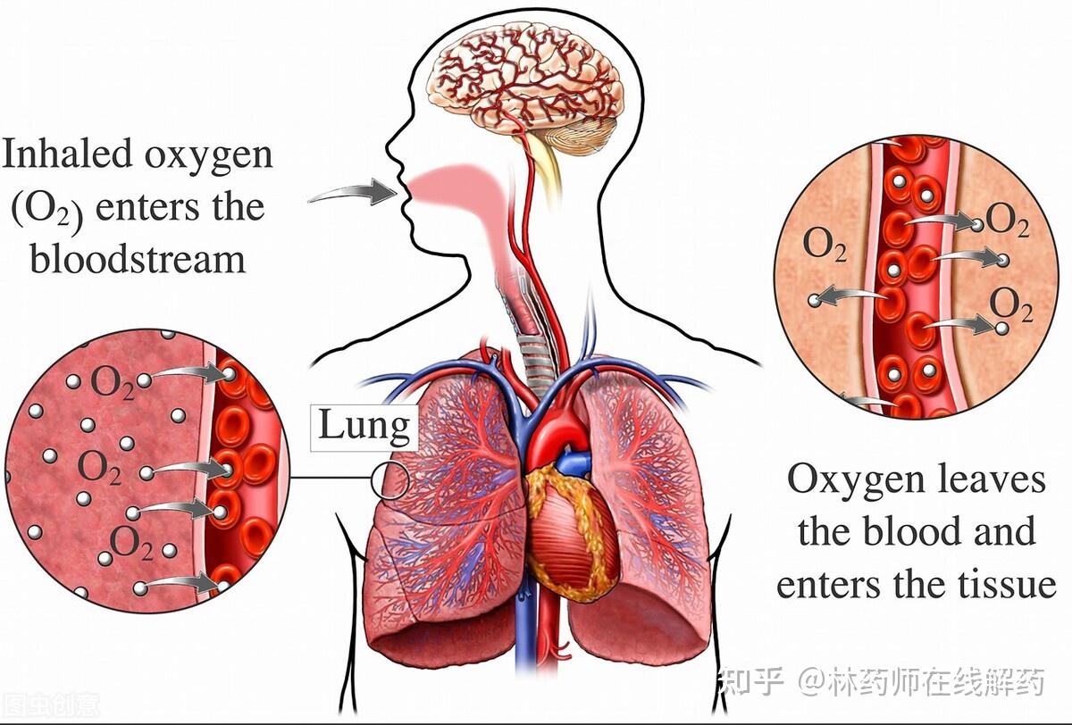 高血壓怎麼鍛鍊好?記住 5 點,不吃藥也能降壓10 mmhg - 知乎