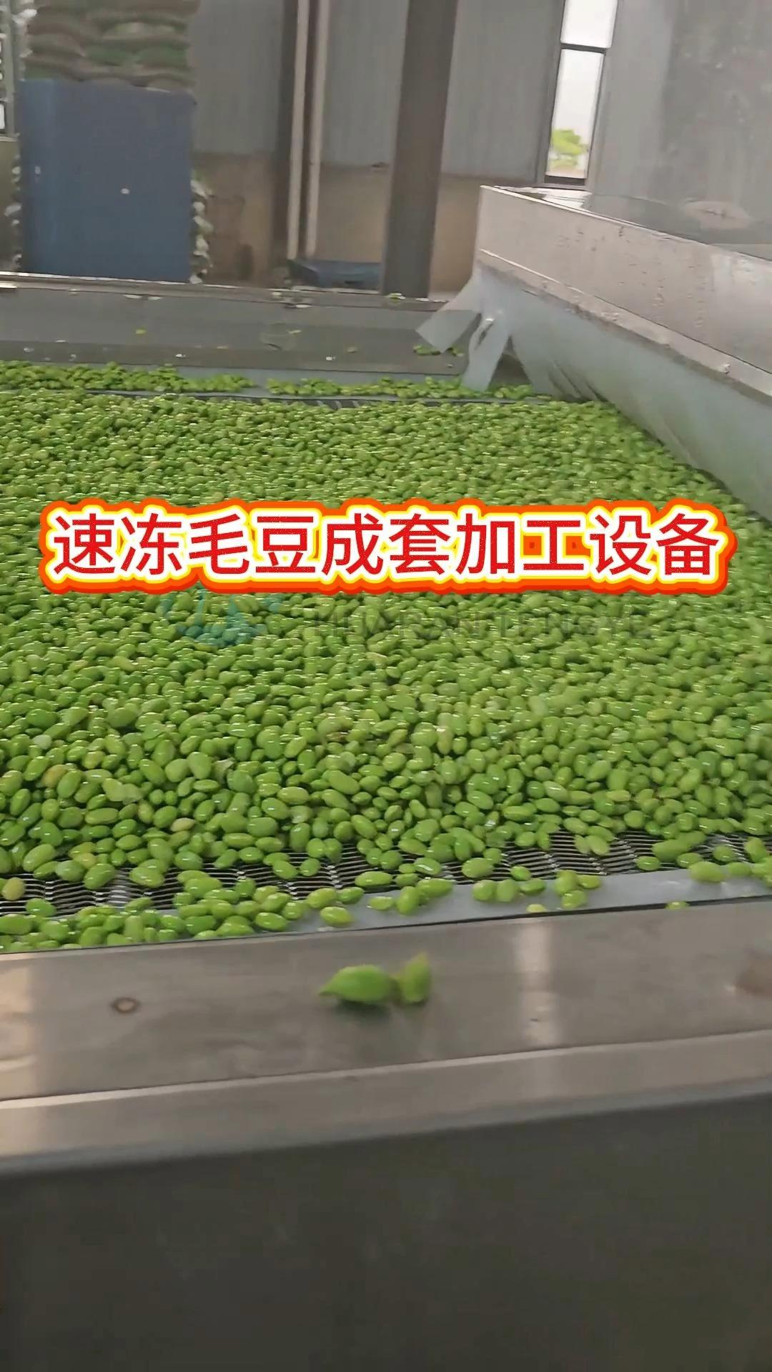 毛豆成套加工设备流水线