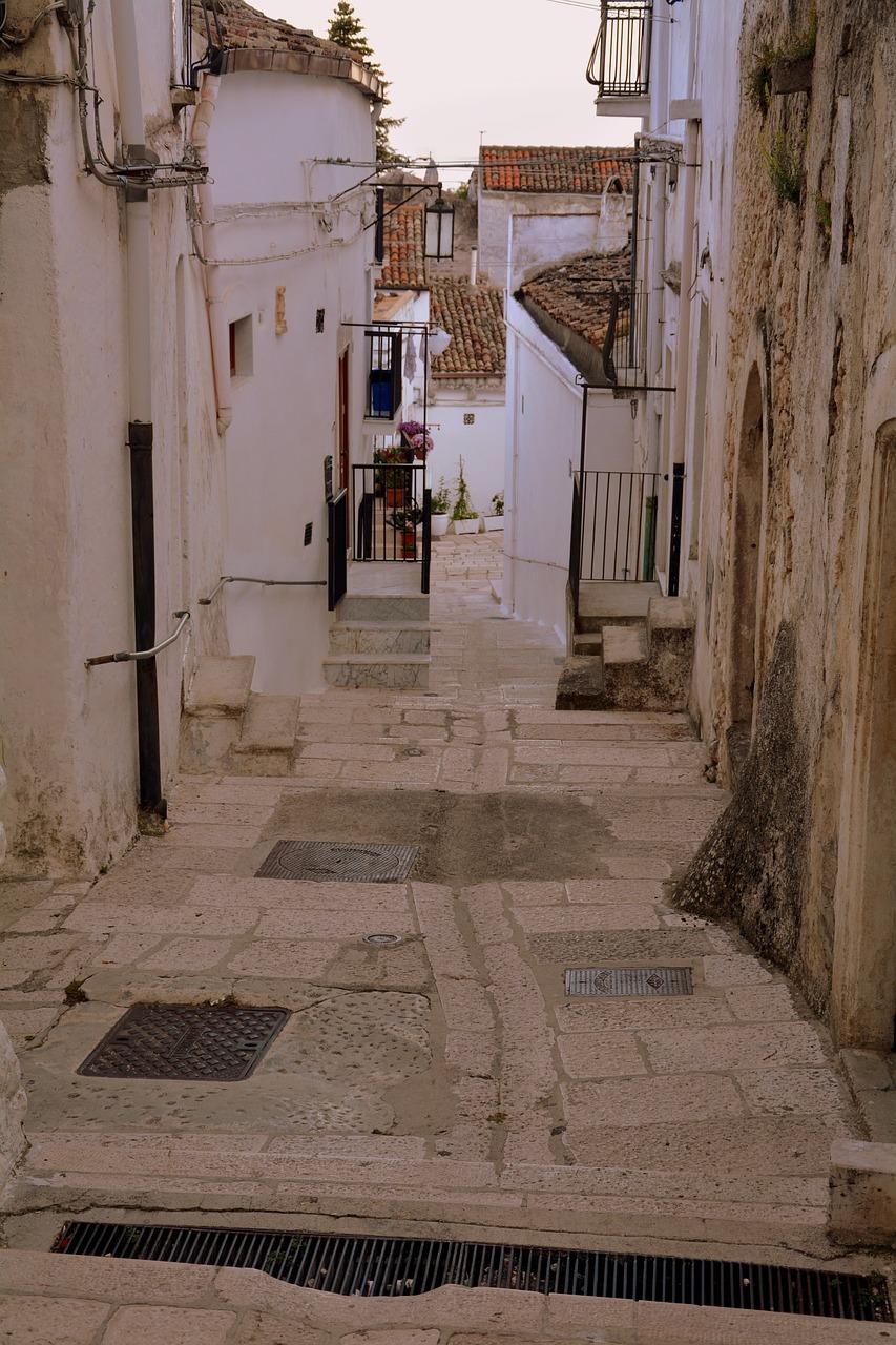 东北园胡同 在哪里