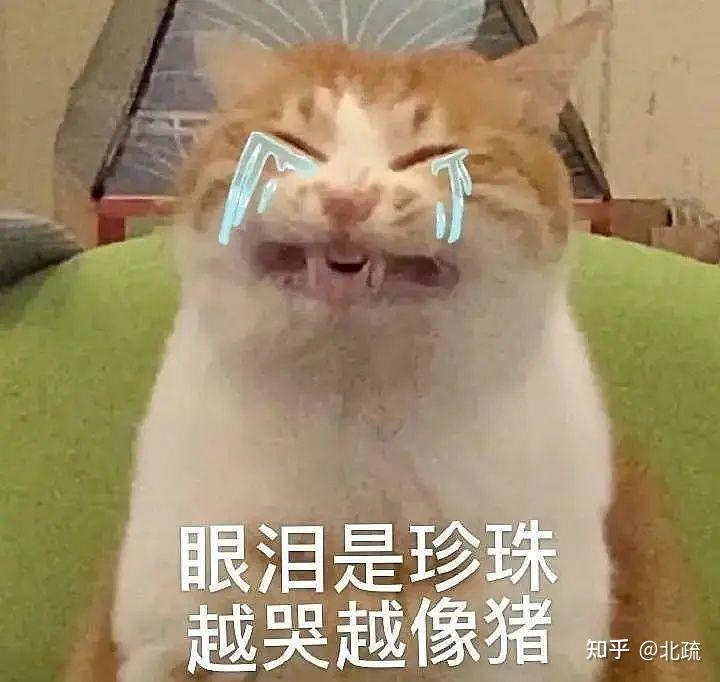 啥时候才能出门啊 v2-4ac7c1eaba662931e29791d5c2c183f0_r.jpg