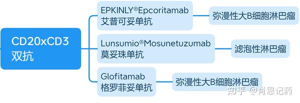 记住所有FDA生物药 | 两款CD20 X CD3双抗 | Mosunetuzumab、Glofitamab | B细胞淋巴瘤 - 知乎