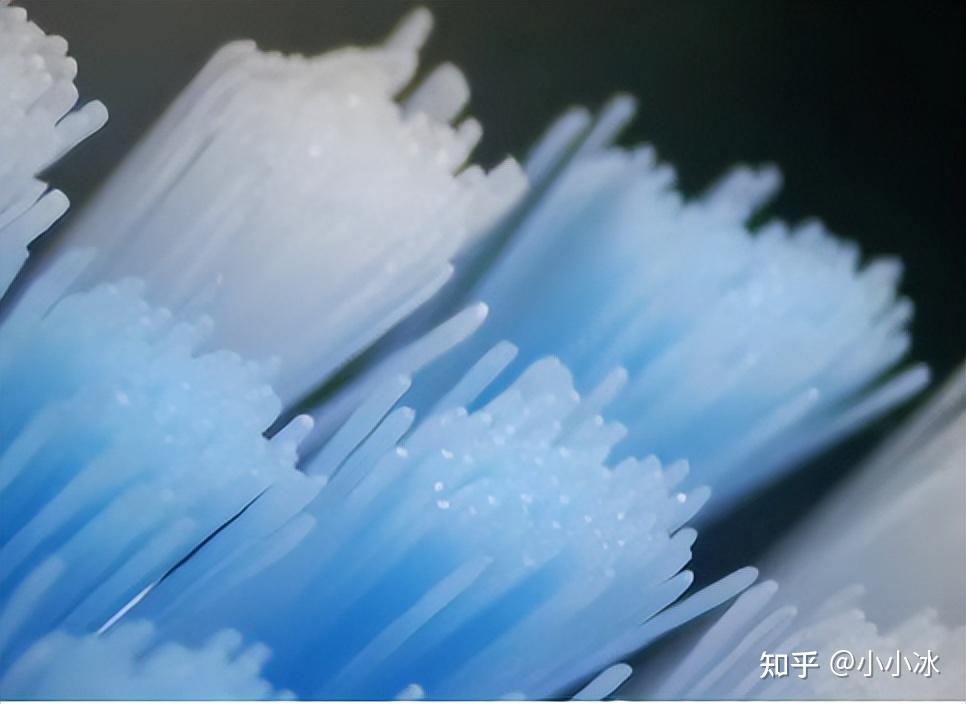 电动牙刷测评_电动助力车价格及图片_电动牙刷推荐