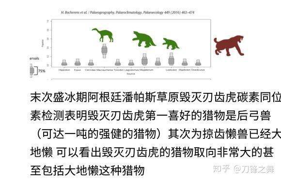 剑齿虎打得过狮子老虎吗?(剑齿虎与狮子体型对比)