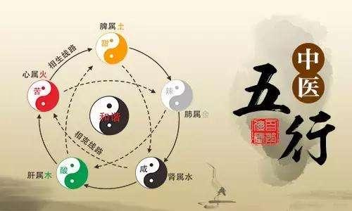 中医基础理论之五行学说 - 知乎