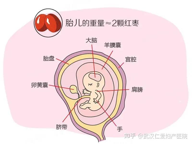 武汉妇产医院