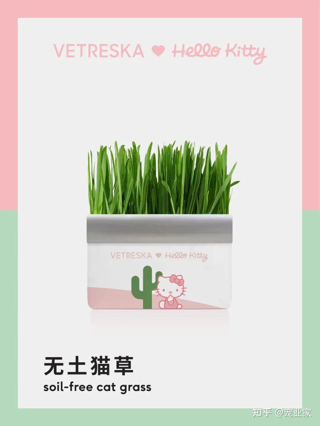 宠物品牌如何通过联名&专供&定制款产品玩转营销丨预览它博会