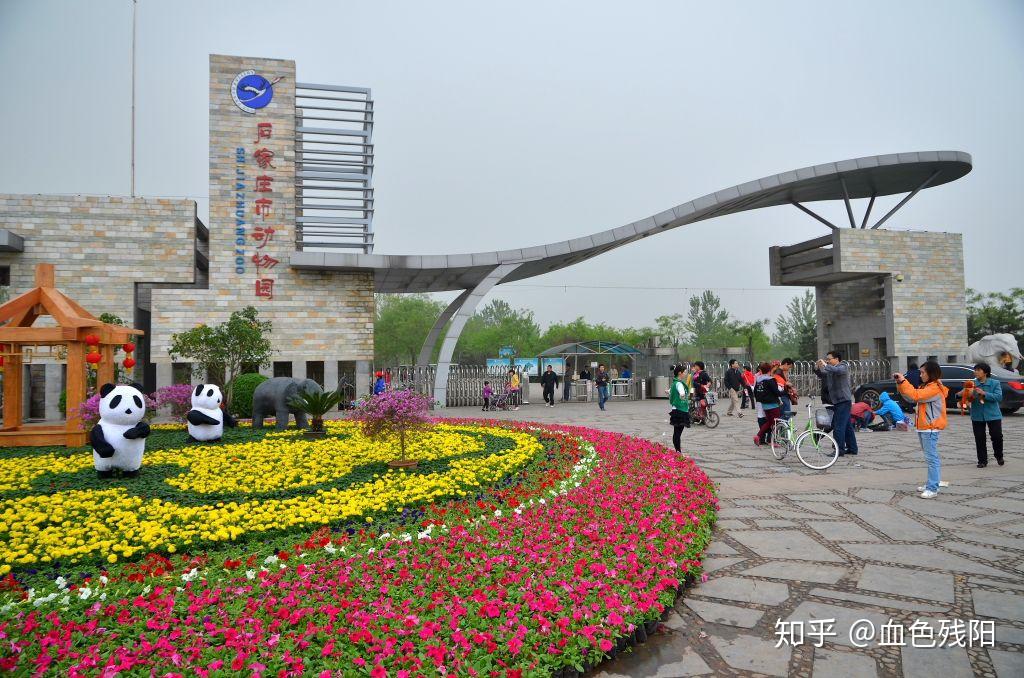 石家庄动物园票价 v2-4b0e47f90cbe9b14f7c5be58a5c266a0_r.jpg
