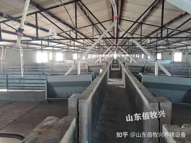 哪种栏舍更适合中小型猪场?猪场猪栏大全,应用范围以及优缺点详解 - 知乎
