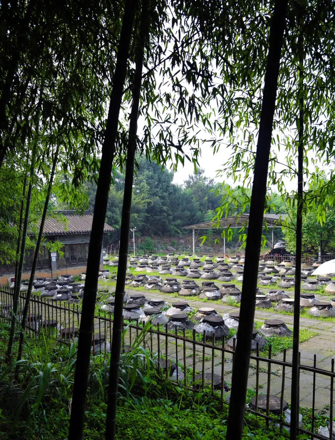 雕梁花窗木墙天井这就是古川酒庄