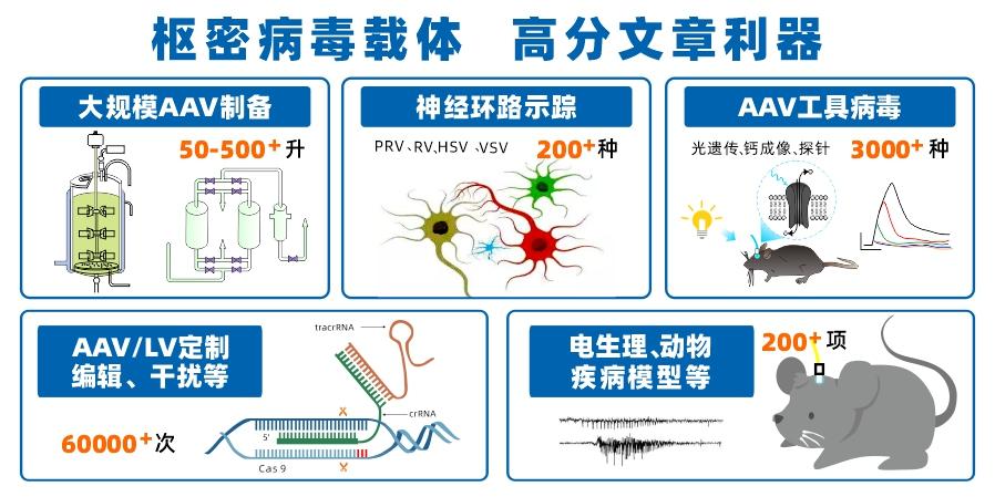 基因过表达细胞系构建的原理是什么? - 知乎