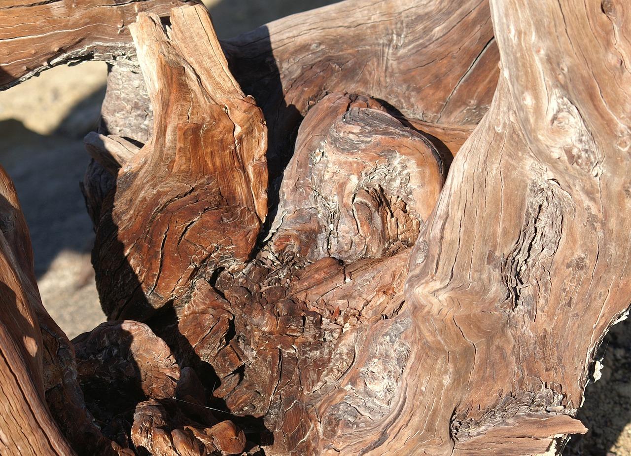 3. 木档单价查询