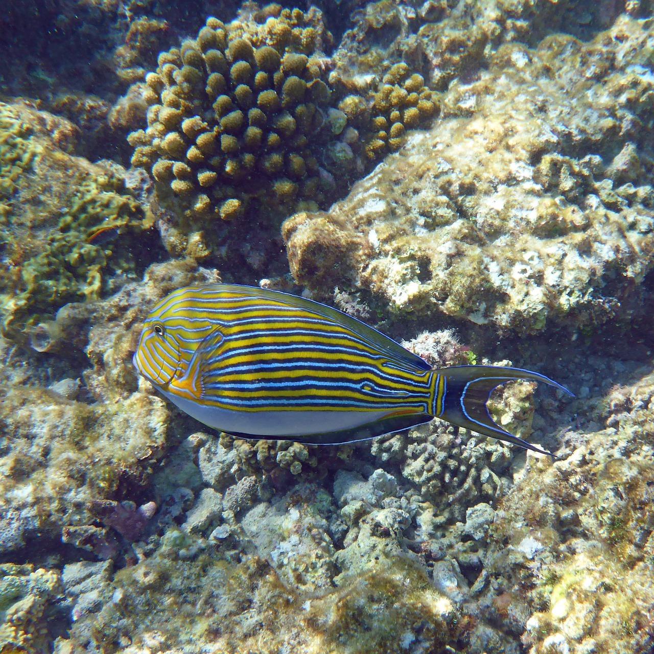 4. 海边物业维护