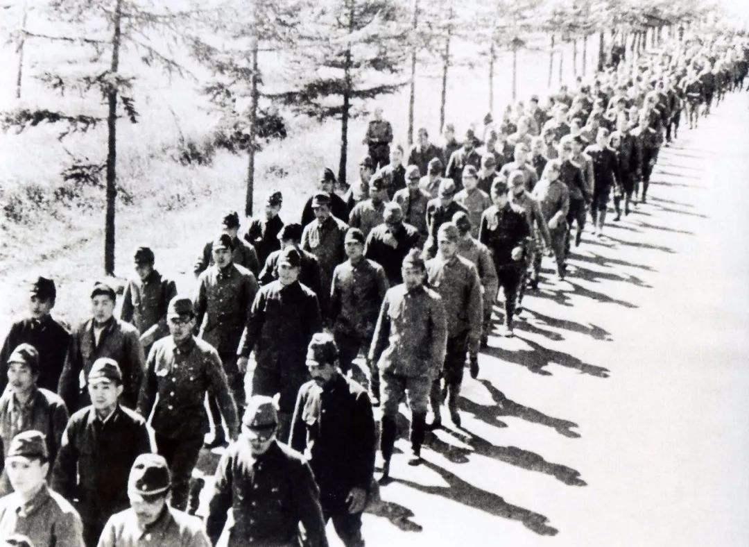 如何看待刘强东提出的 8116+8 工作制?