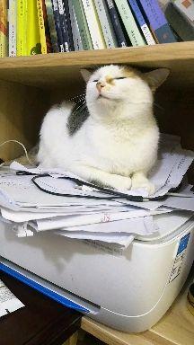 v2-4b350ba89c0d962f2947a296c020ef35.jpeg