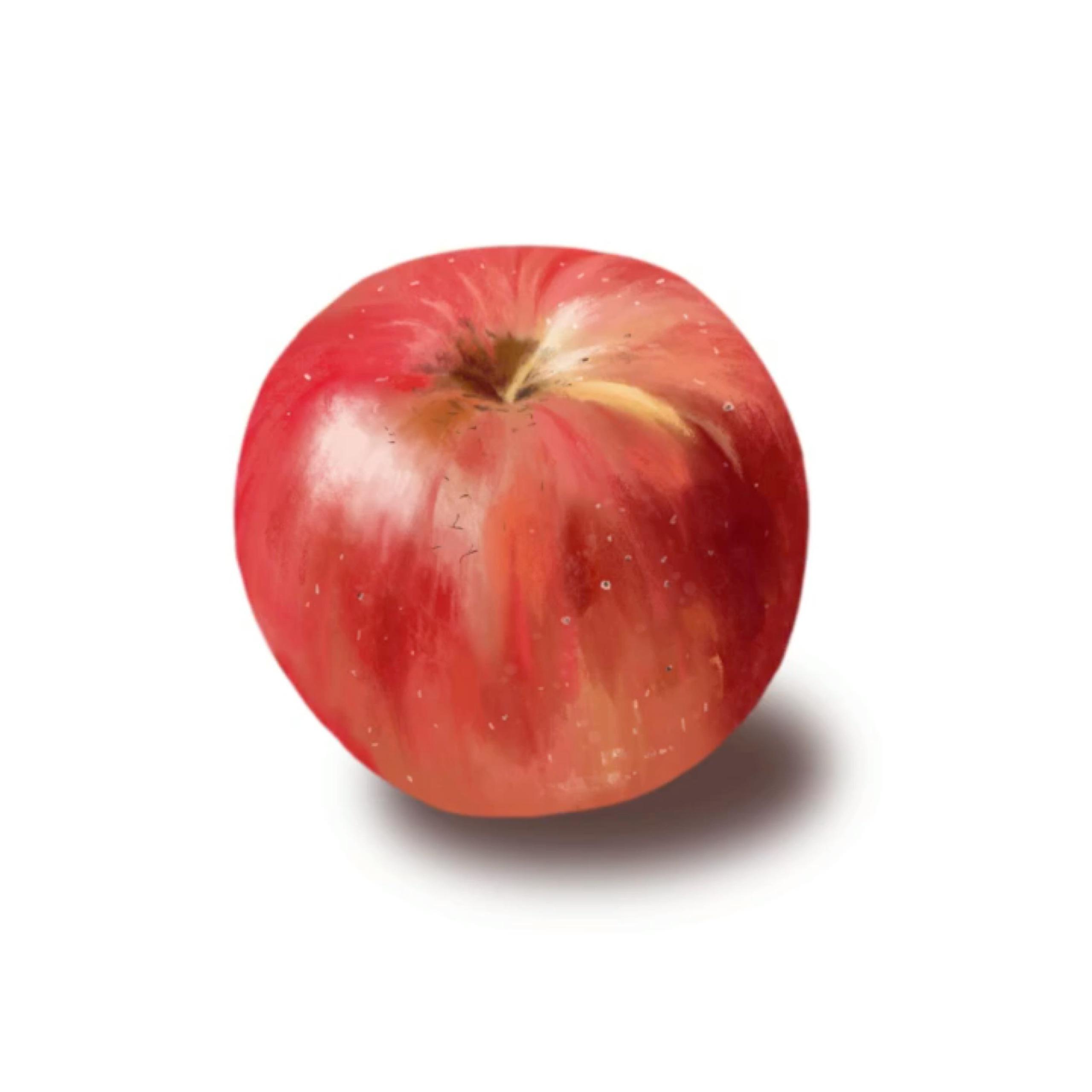 苹果学会了画面感就有了油画教学