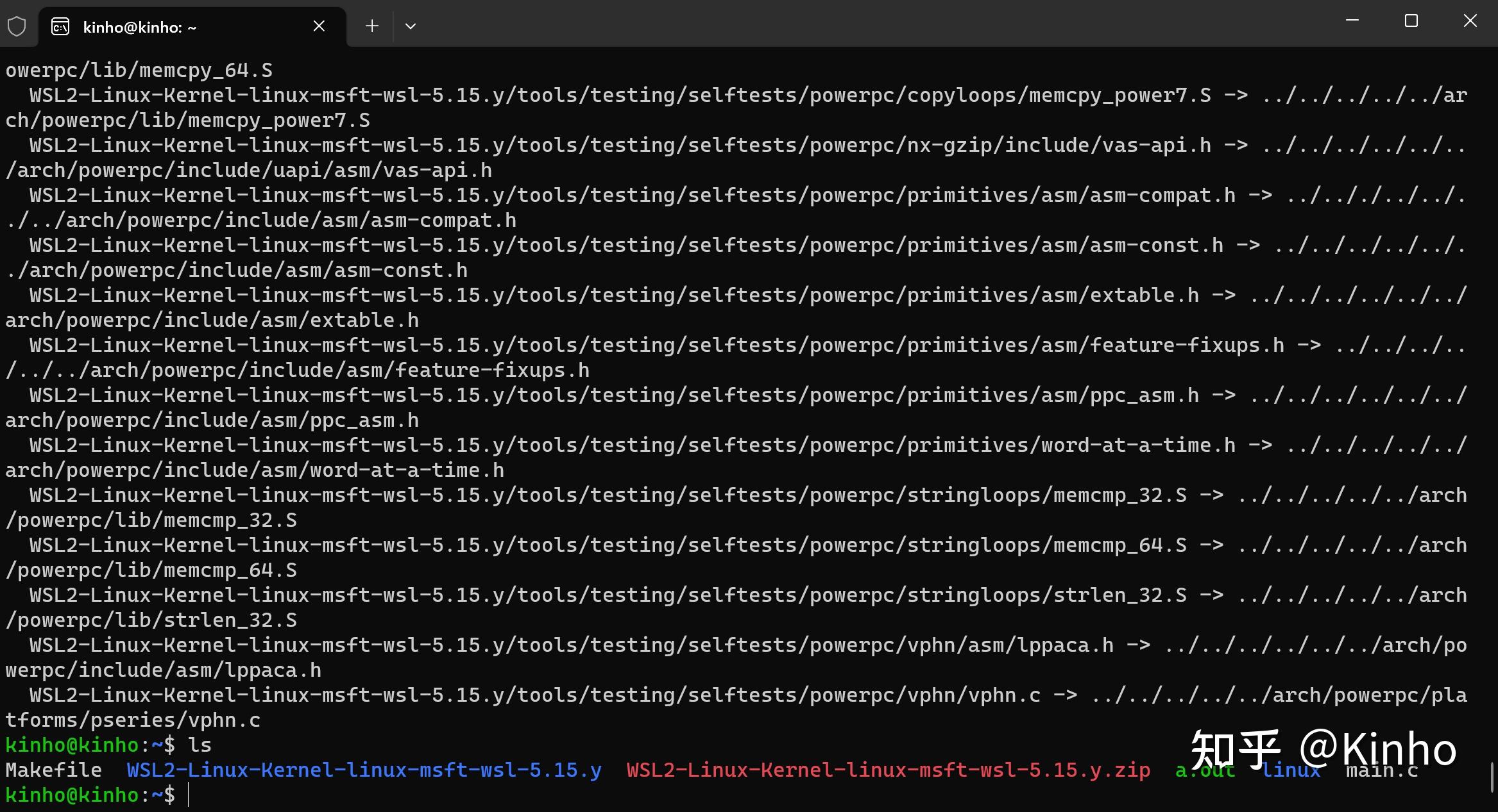 Wsl2 usb 