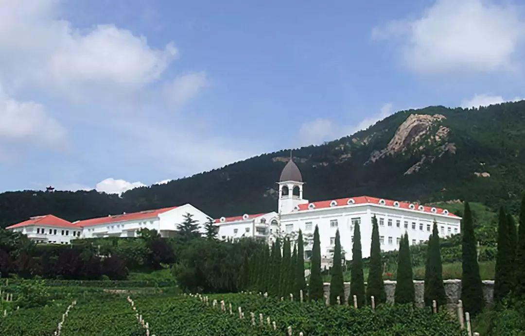 【法庄】带你了解勃艮第的路易亚都酒庄 - 知乎