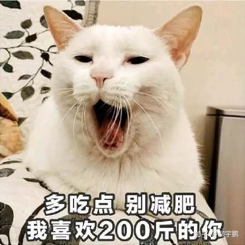 v2-4b505f6405fd5de5fe2625a55ba212fc_r.jpg