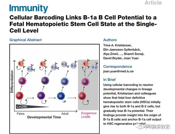单细胞测序在胚胎研究中的应用文章荟萃 - 知乎