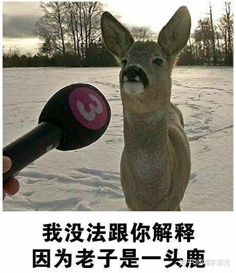 晚上的文案幽默 v2-4b5ce80a730fe16440b87015455d2b90_r.jpg