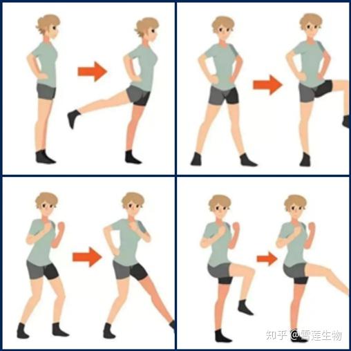 不用深蹲不再膝盖痛轻松拥有完美翘臀