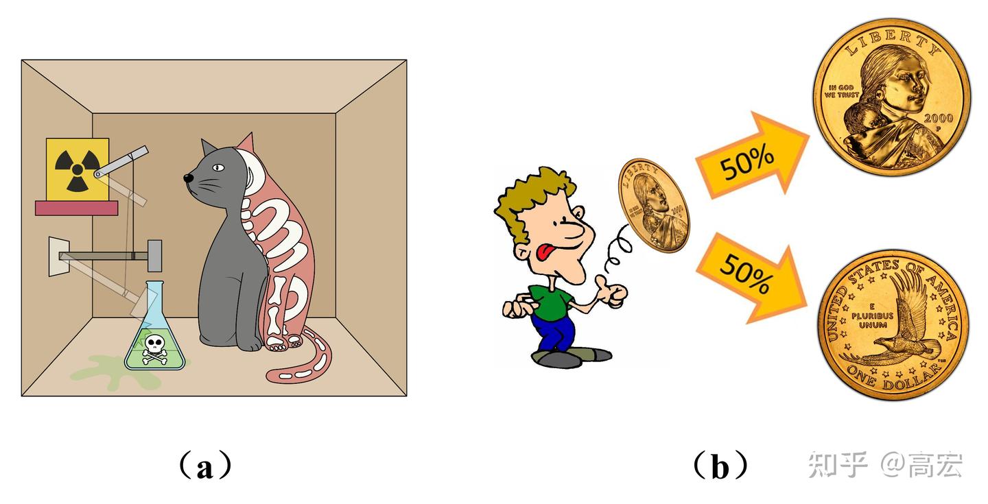 薛定谔的猫证明《概率论》抛硬币概率假设不成立- 知乎
