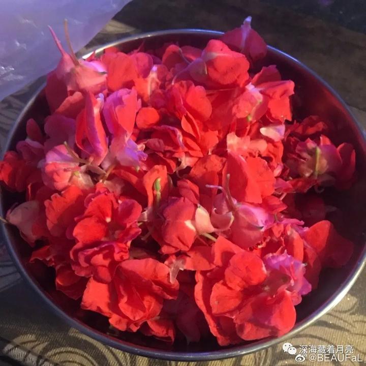 桃红绯色 - 知乎
