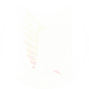 空白
