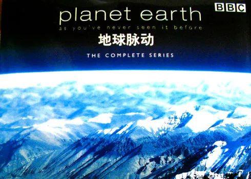 不得不看的6部bbc纪录片每一部都是经典神作