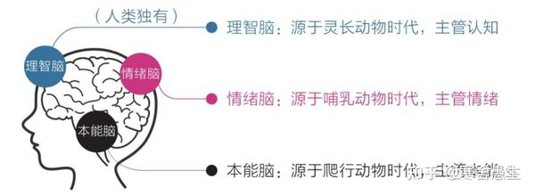 「每日读书」认知觉醒——开启自我改变的原动力(一) - 知乎