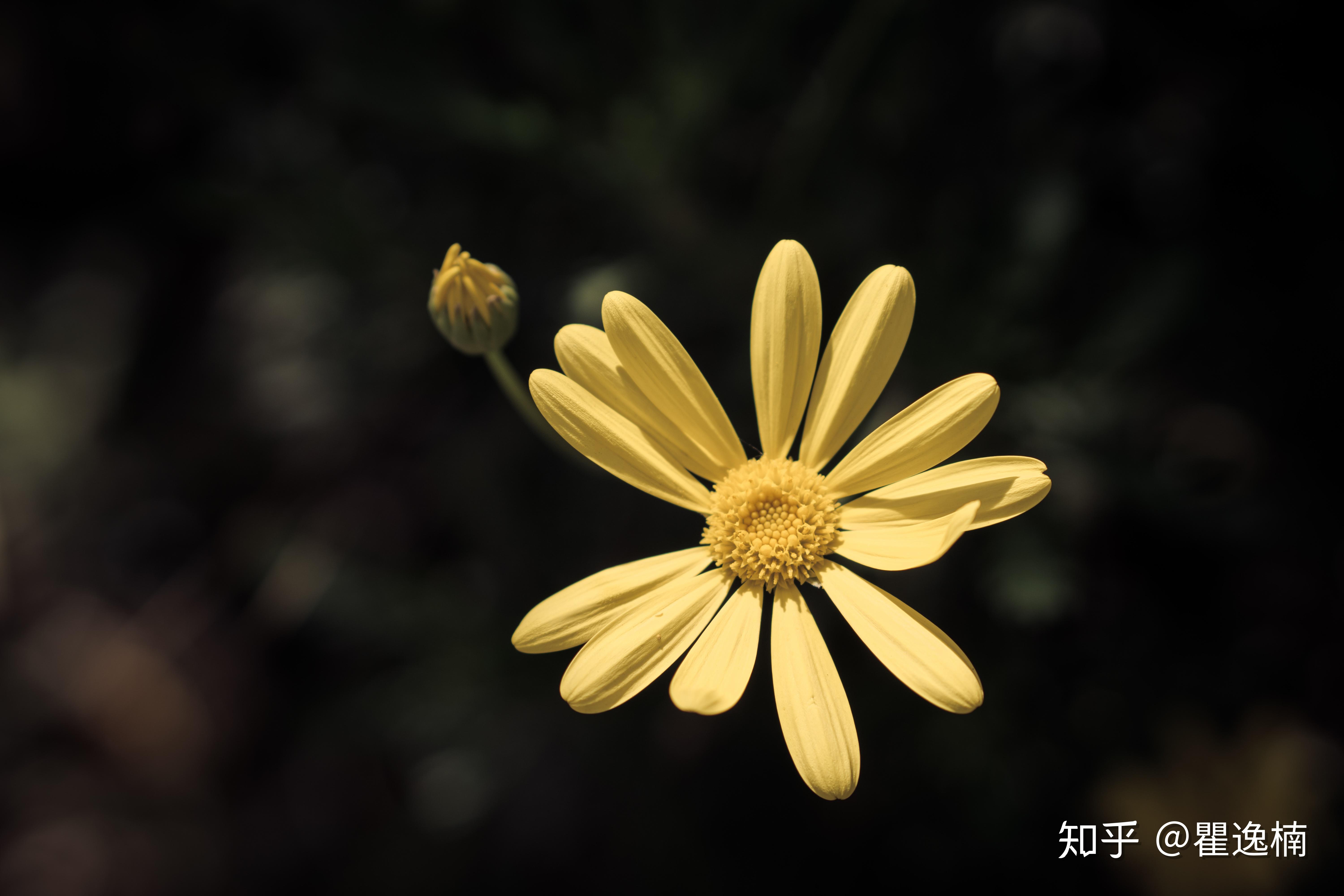 有人在图虫网上成功卖出过照片么