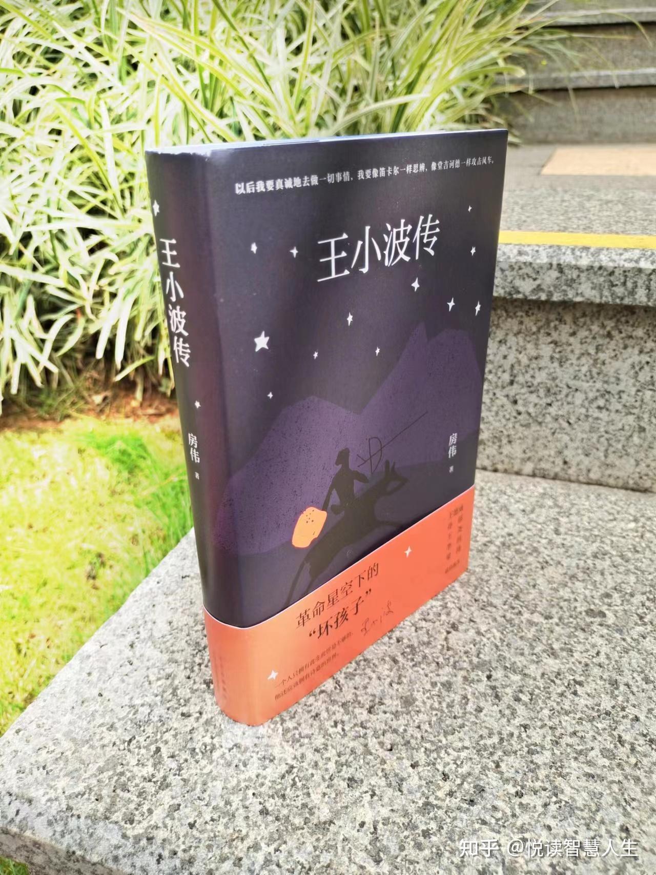 《王小波传》|王小波是一个“坏孩子”? - 知乎