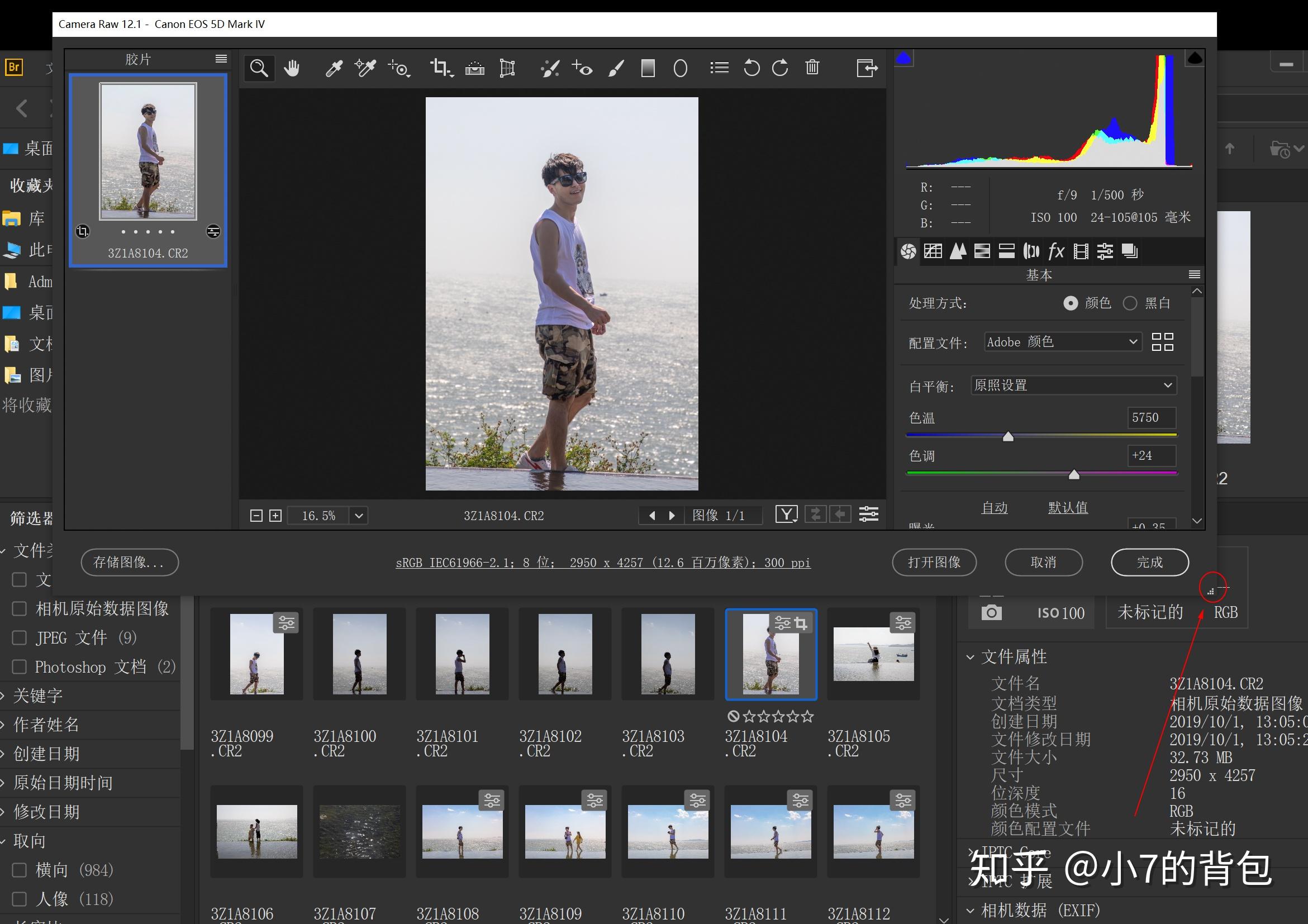 请问怎样调节ps(2018)中camera raw的界面大小?