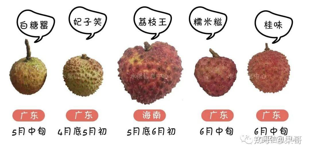 测评时下5种荔枝,谁才是你心目中的王者? - 知乎