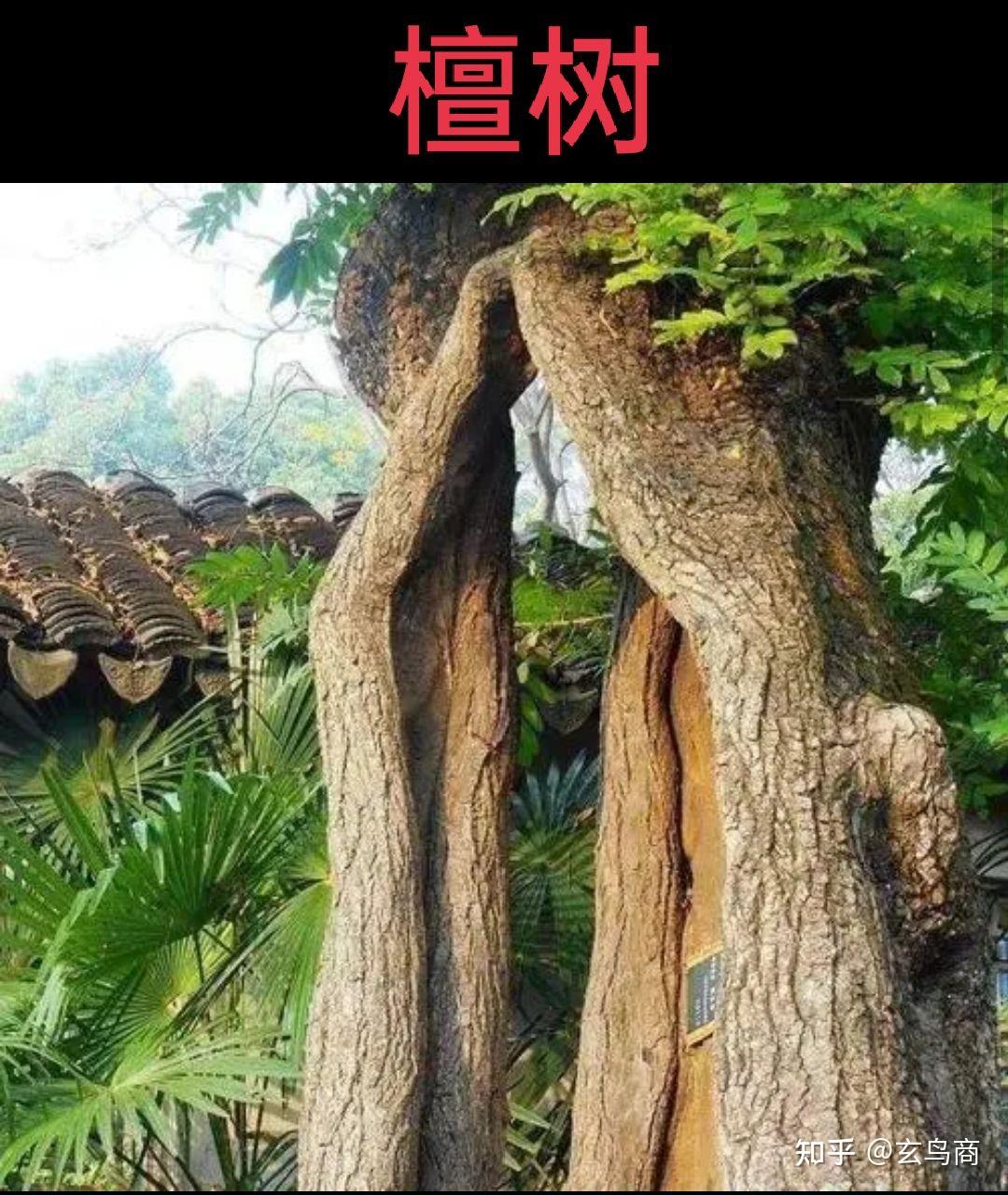 利簋铭文释义 - 知乎