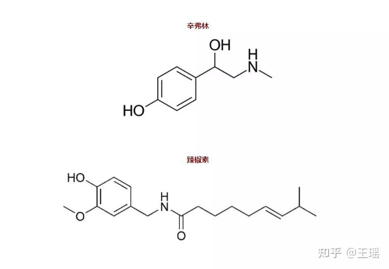 酮有助于燃烧脂肪的原因之一是它在结构上与麻黄碱和辛弗林非常相似