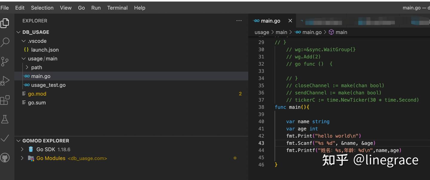 vscode [go语言||C语言||JAVA||C++] scanf 使用 || 控制台互动 || 控制台输入数据||vscode 终端 ...