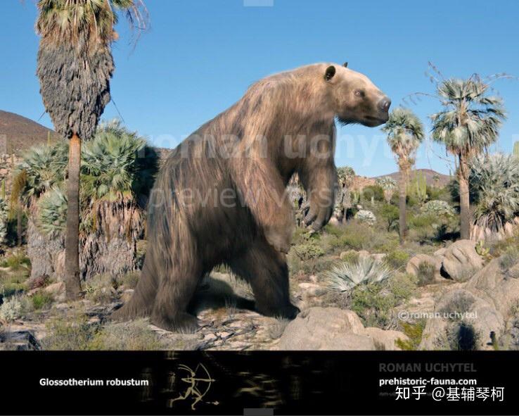 新生代巨兽猛兽及其他掠食者精简名录古兽争锋榜第四纪篇