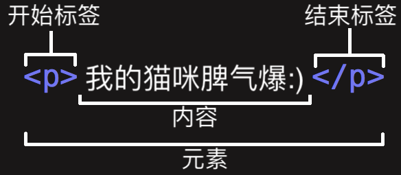 Html笔记 知乎