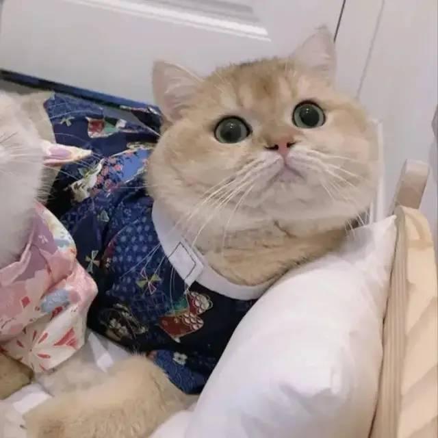 情侣头像今天的情头太爱了