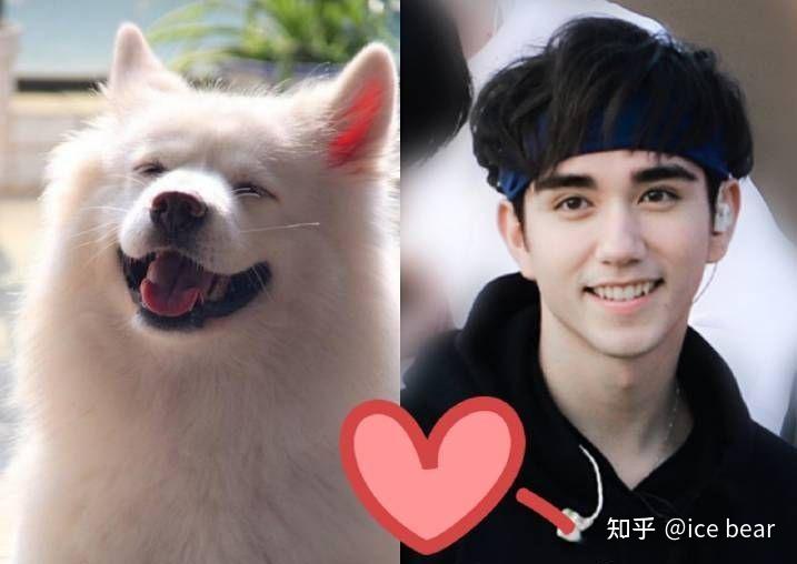 创造营2021和马的颜值怎么样