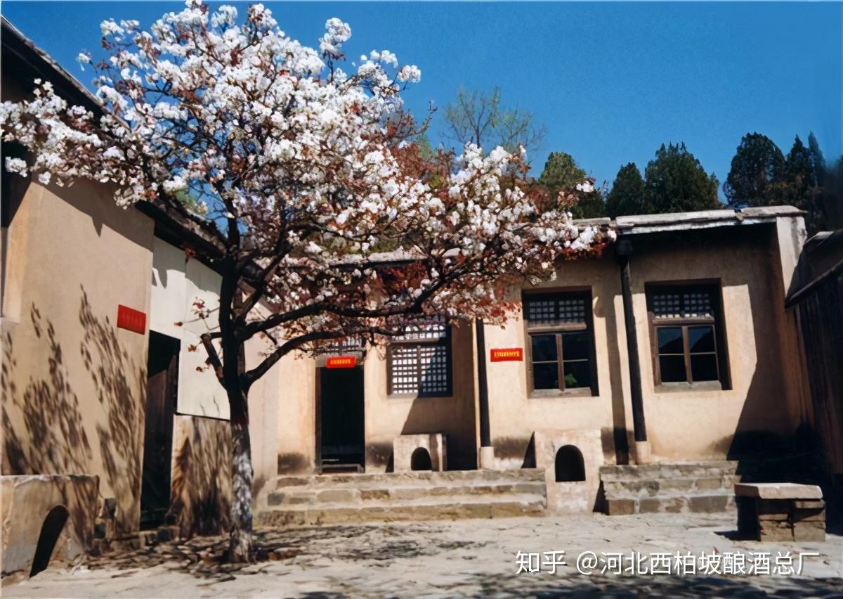 1949那个年代发生的事儿西柏坡美食2