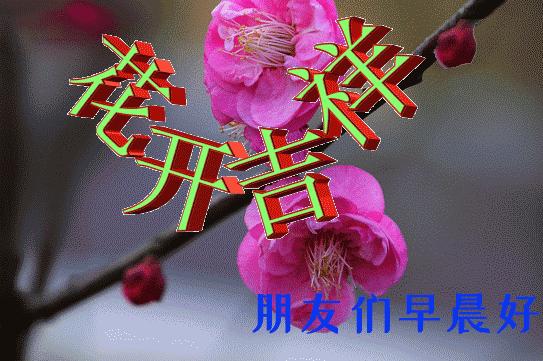 3月最新版群发早晨好问候祝福图片 2022春天最美早上好动画祝福带字表情图片大全