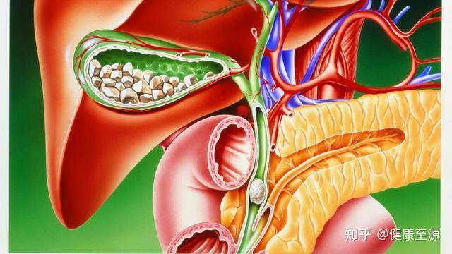 墨菲征呈阳性,应
