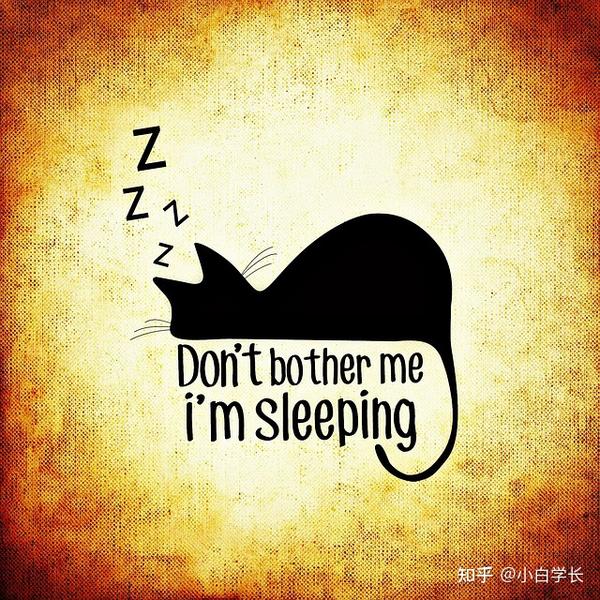 搞笑晚安语录,最搞笑的晚安一句话 - 知乎
