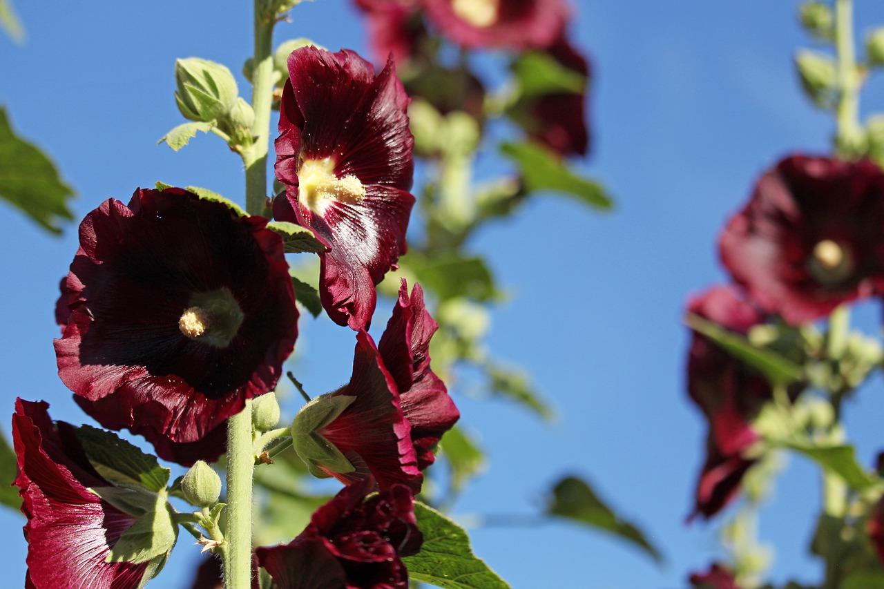 和谐清雅42超市卖多少