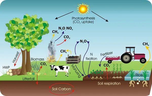 如何将您的农田变成碳汇并从中获利